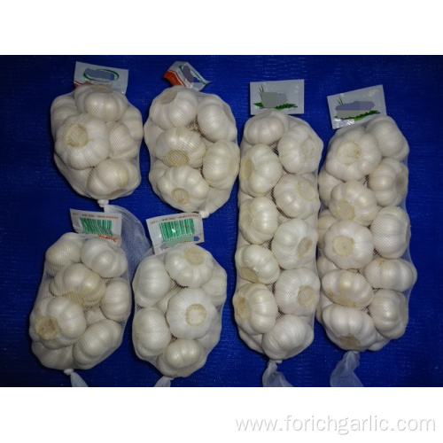 Pure White Garlic Fresh New Crop 2019